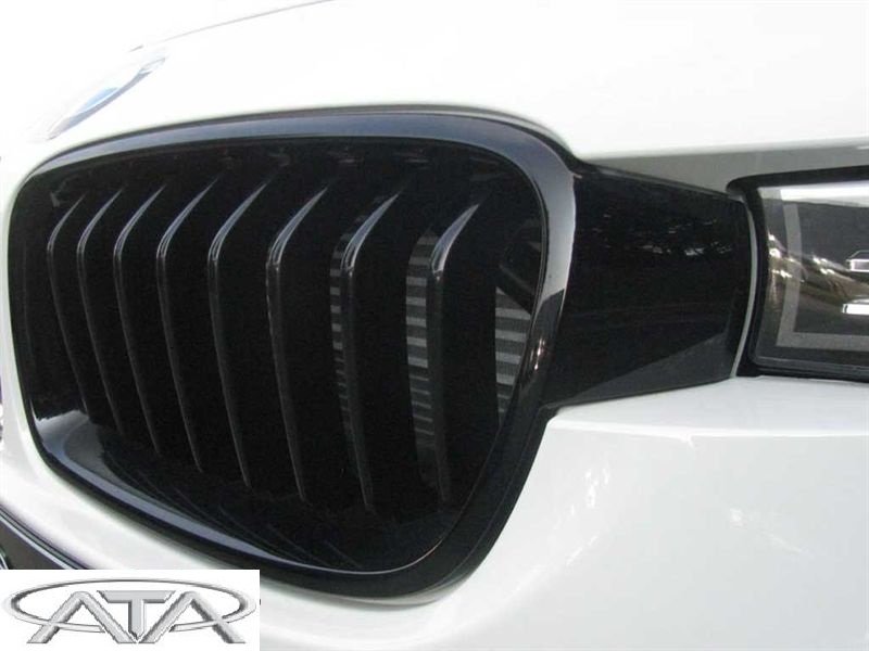 *** F15 M PERF. BÖBREK - Görsel 5