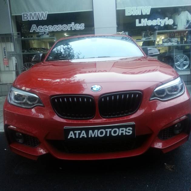 *** F22 M PERF. BÖBREK