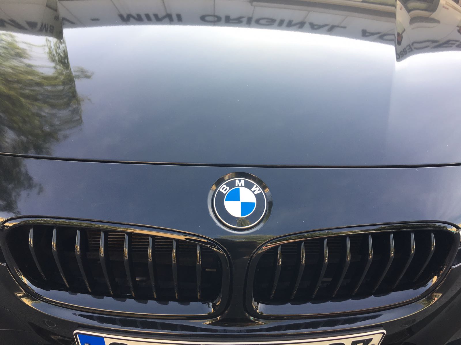 *** F30 M PERF. BÖBREK - Görsel 12
