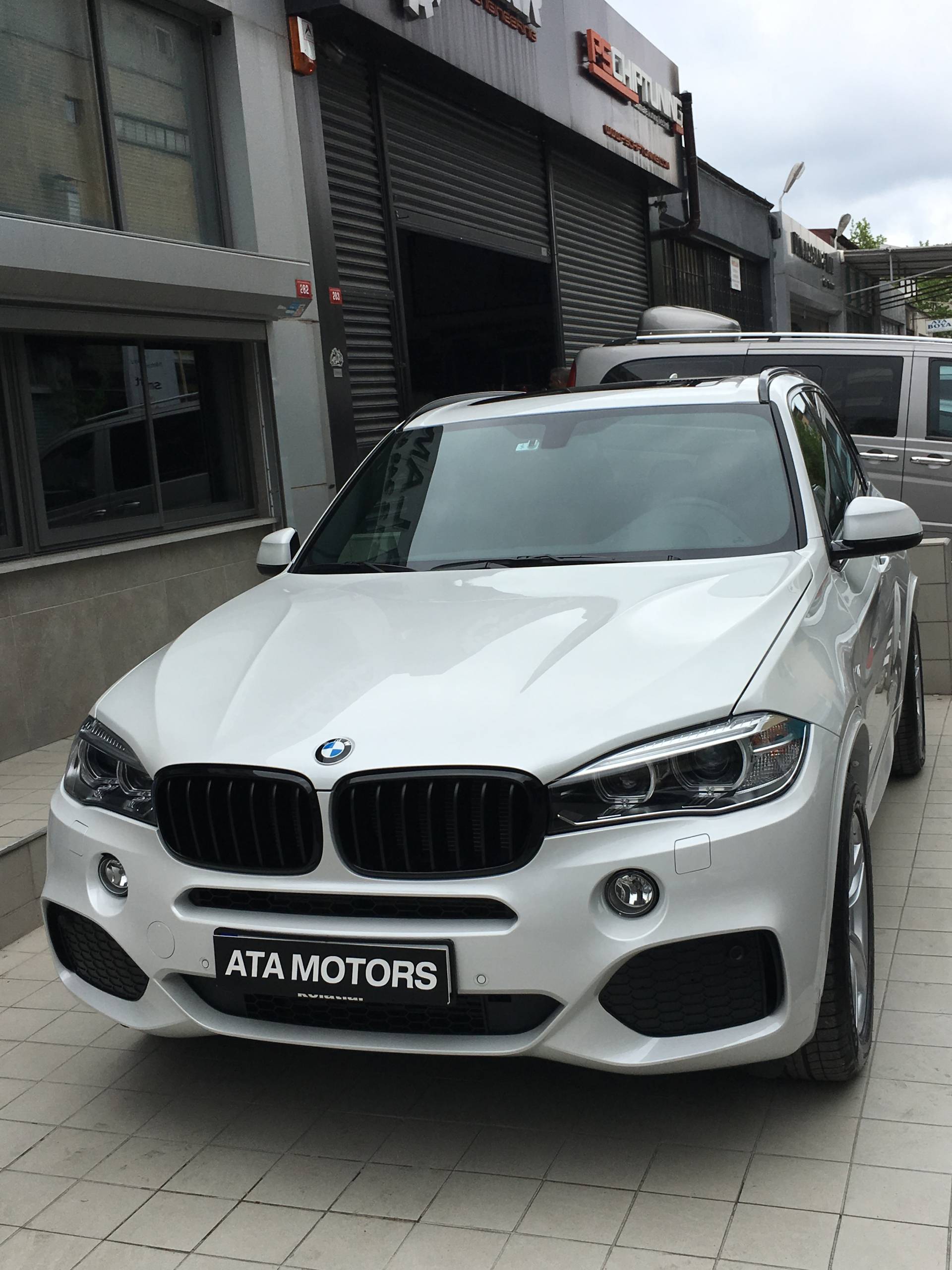 *** F15 M PERF. BÖBREK - Görsel 6