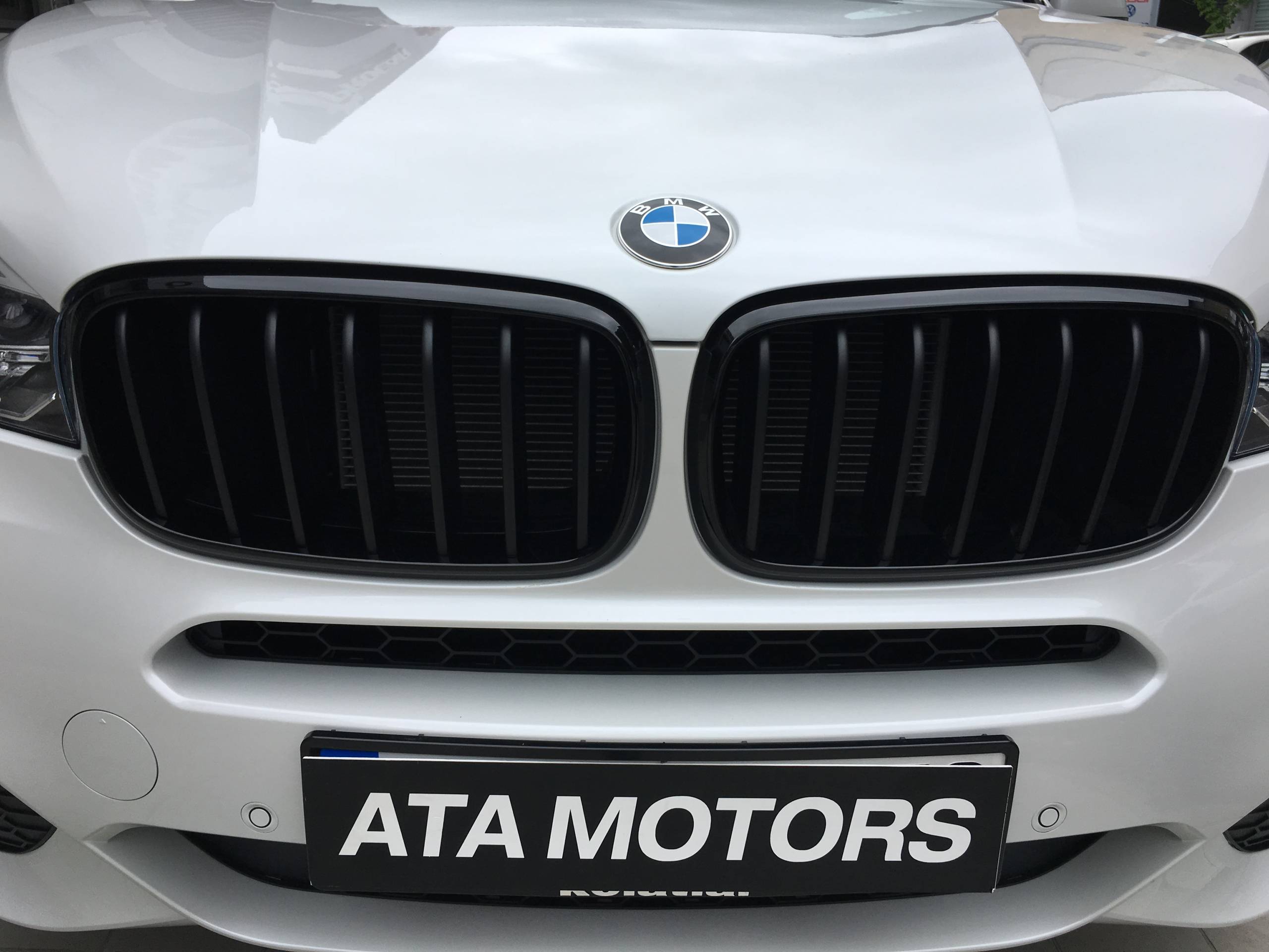 *** F15 M PERF. BÖBREK - Görsel 8