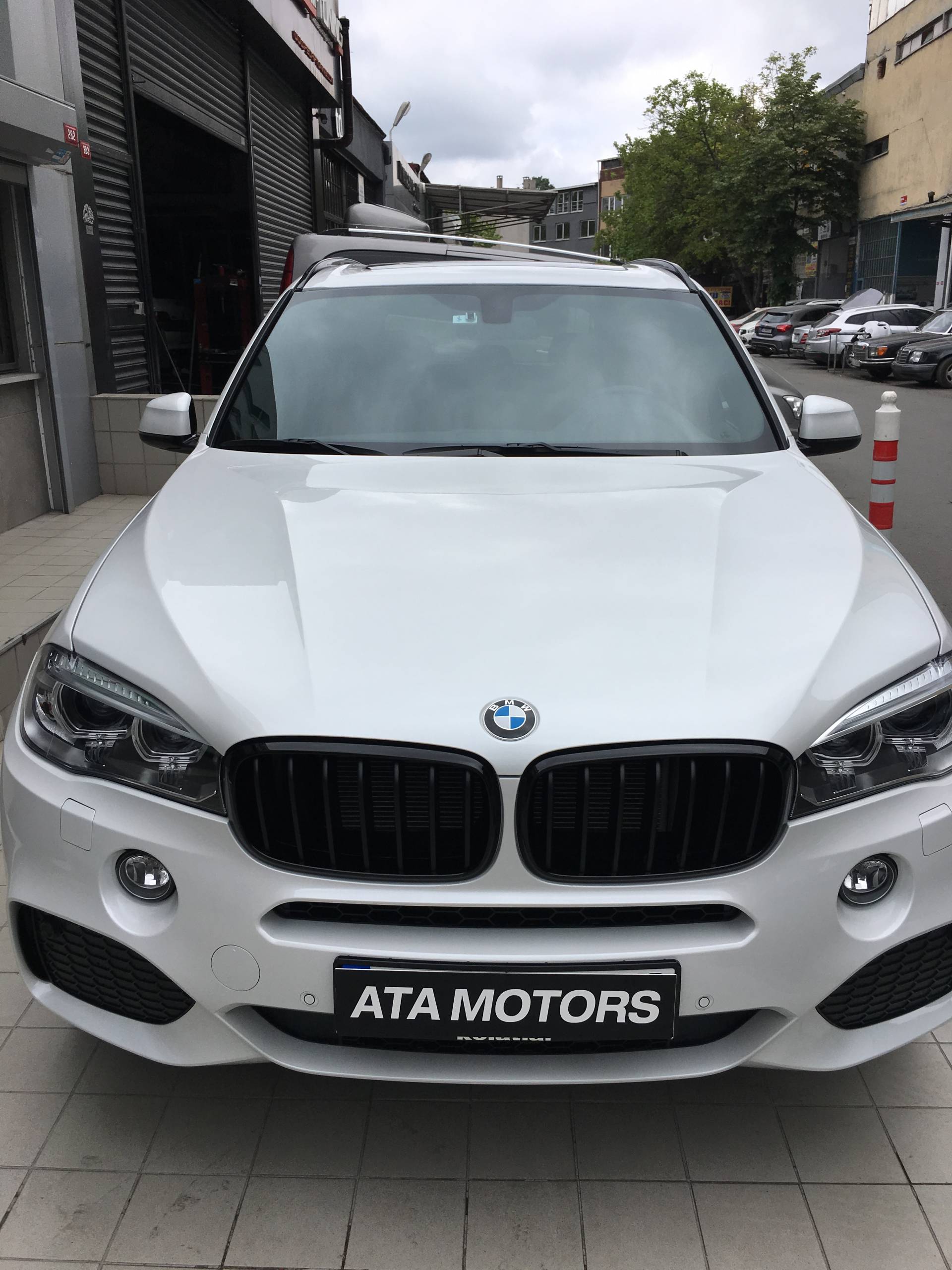 *** F15 M PERF. BÖBREK - Görsel 10