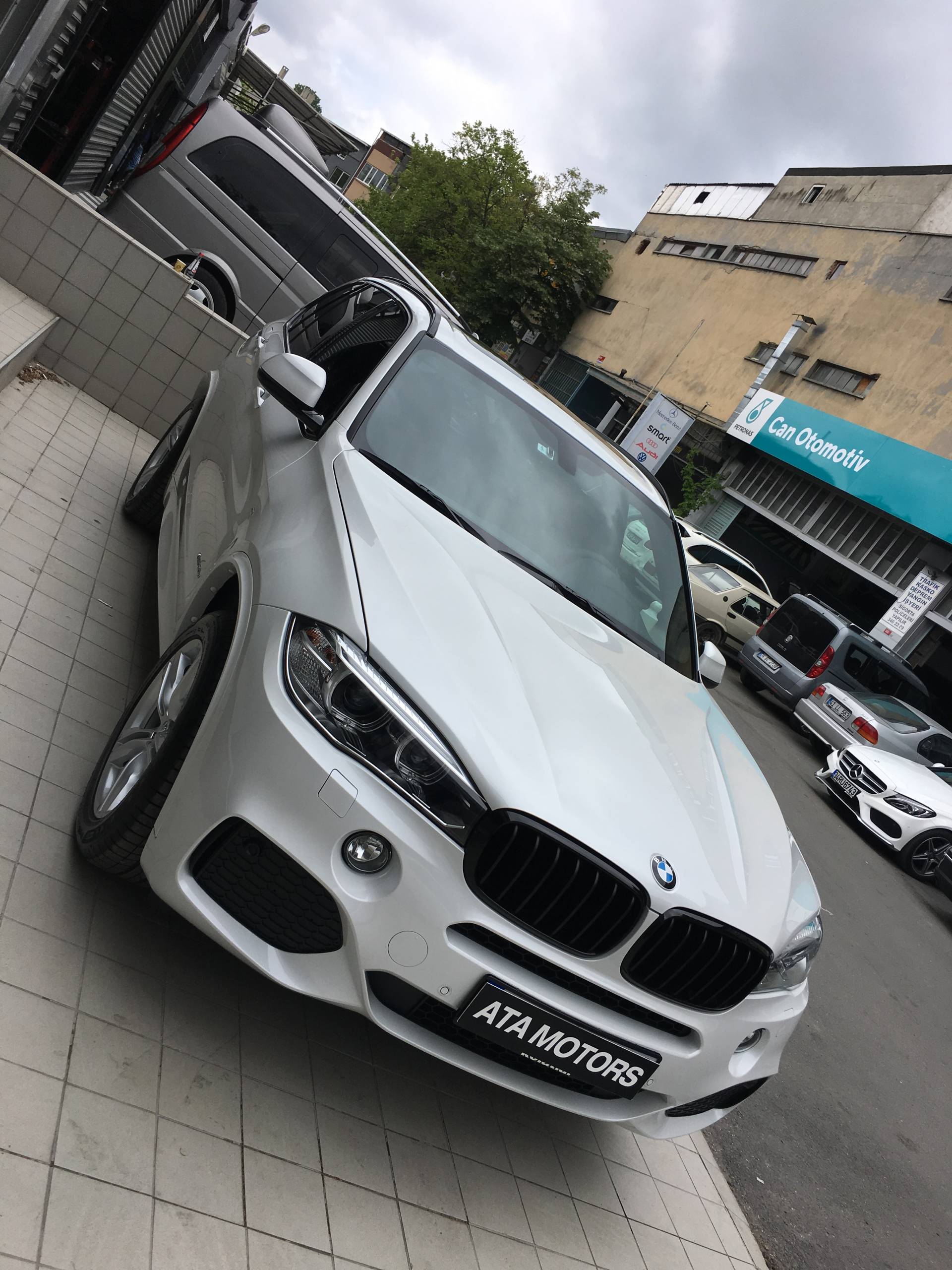 *** F15 M PERF. BÖBREK - Görsel 11